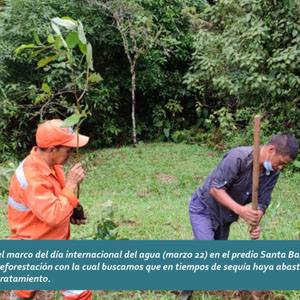 Plantemos para proteger el agua